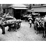 Historic Pad - The Jameson Distillery *