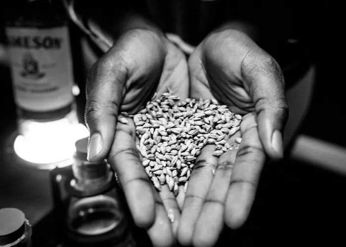 Historic Pad - The Jameson Distillery 아파트 *